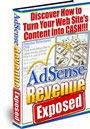 Adsense Revenue Exposed - Click Image to Close