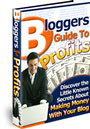 Bloggers Guide to Profits