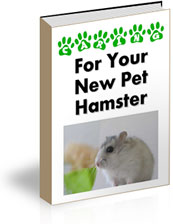 Caring for Your New Pet Hamster - Click Image to Close