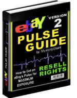 eBay Pulse Guide Version 2 - Click Image to Close