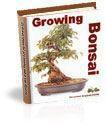 Growing Bonsai Trees - Click Image to Close